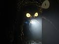 What Creature Is This? 😨 Giant Underground Monster Caught on Camera #shorts