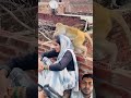 #monkey #funny #song #cute #love #shree_krishna_ringtone #adorably #babymonkey #adoreble #shortvideo