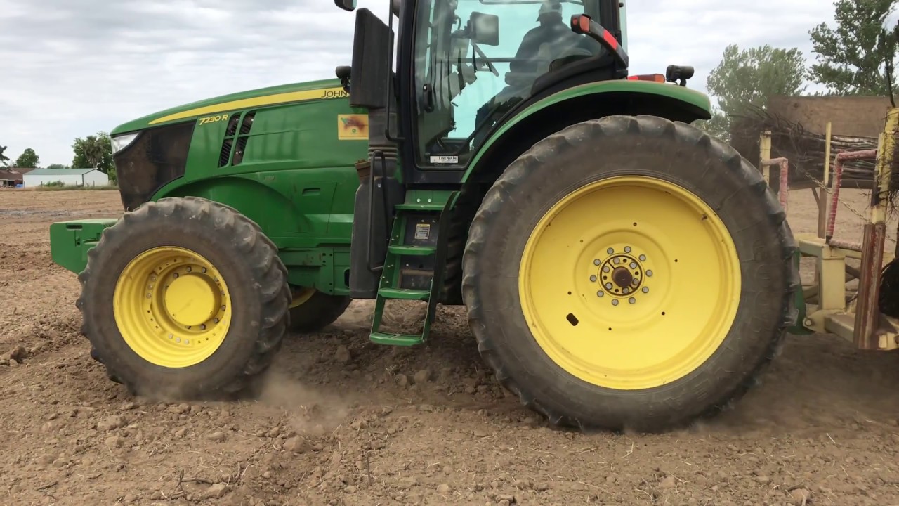 Planting Walnuts in Northern California