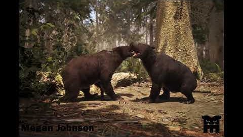 Bears Fighting | Lighting Breakdown in Unreal Engine 5 & Compositing in Nuke