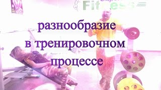 Разнообразие в тренировке для верхней части тела у женщин Разнообразие в тренировке для верхней части тела у женщин
