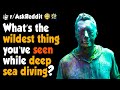 What’s the Wildest Thing You’ve Seen While Deep Sea Diving?