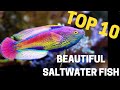 Top 10 Most Stunning Saltwater Fish for Reef Enthusiasts 🌊