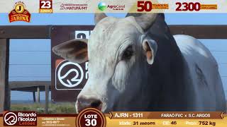 LOTE 30 1311