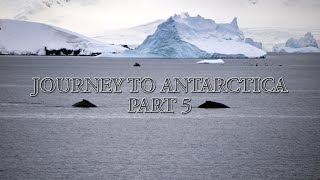 Journey to Antarctica  PART 5 -  A Travelogue