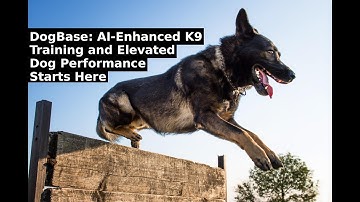 DogBase Transform K9 Training with AI-Driven Insights #buildwithgemini