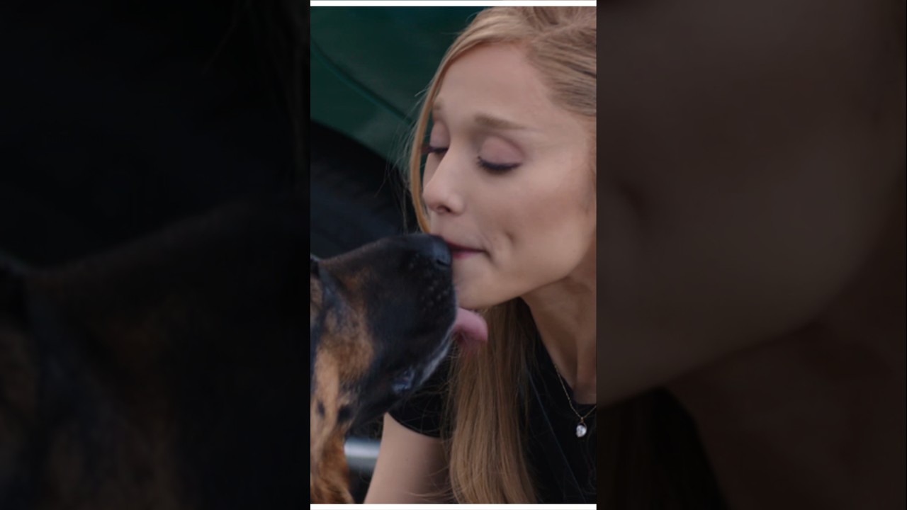 Focker In Law Trailer Reaction #arianagrande #fockerinlaw #trailer #movie