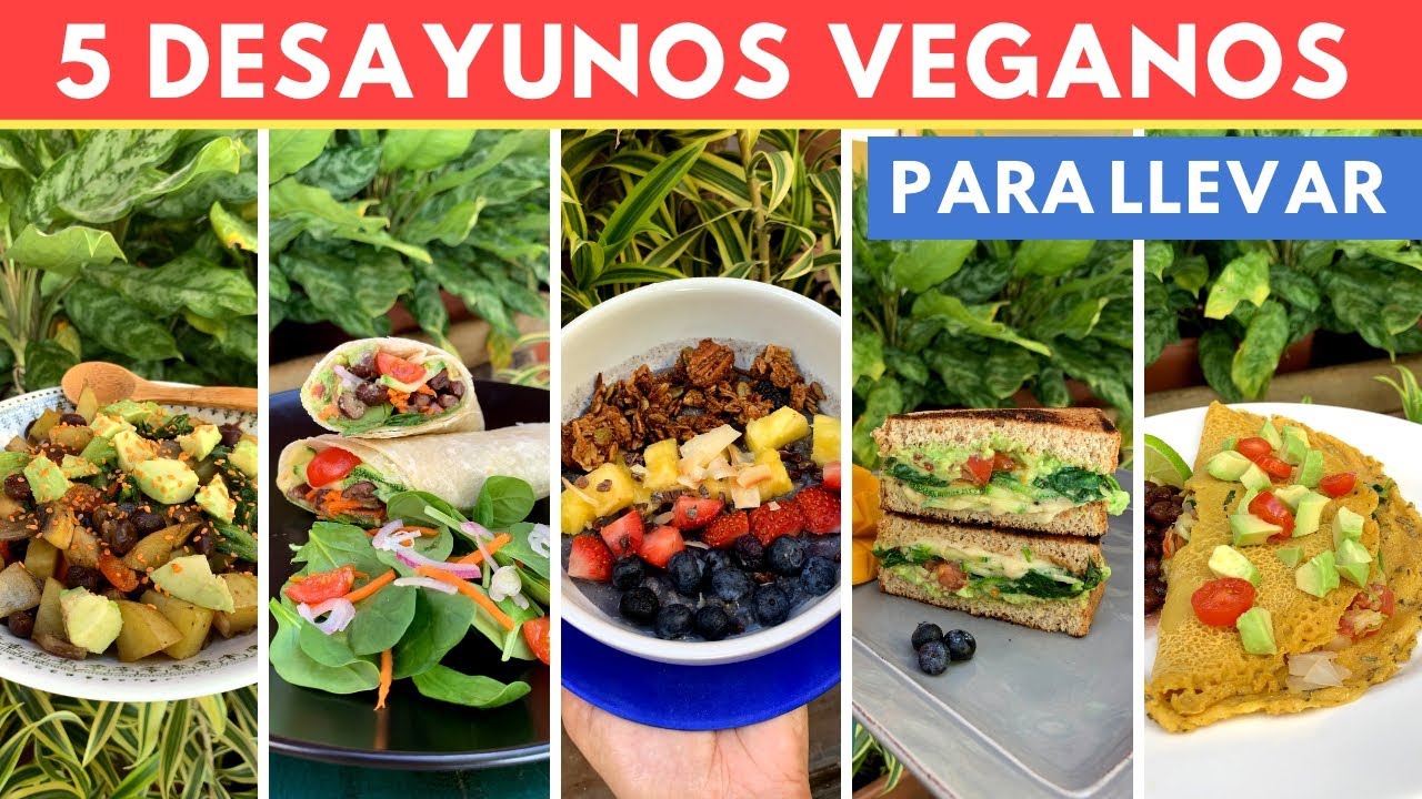 5 Desayunos VEGANOS p/Llevar, fáciles y con Proteína|Cocina de Addy -  YouTube