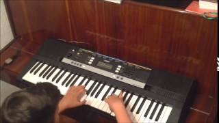 I'm an albatraoz-Aron Chupa piano cover