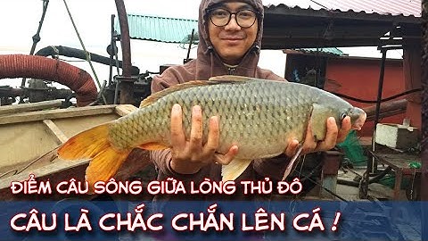 Điểm Câu Sông Siêu Nhiều Cá Giữa Lòng Hà Nội Bỏ Qua Đừng Tiếc | Câu Lục Sông Hồng