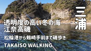 【海辺散歩】江奈高磯、透明度の高い冬の海〜松輪港から剱崎手前まで磯歩き〜