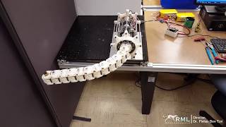 Roll-Revolute-Revolute Robotic Tail R3Rt