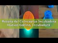 Reseña del CoInceptus Incubadora Huevos Gallina, Incubadora de 24-36 Huevos con Volteo Automático de