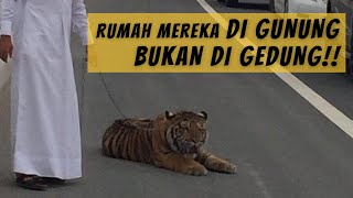 BOLEHKAH MEMELIHARA HEWAN LIAR DILINDUNGI?