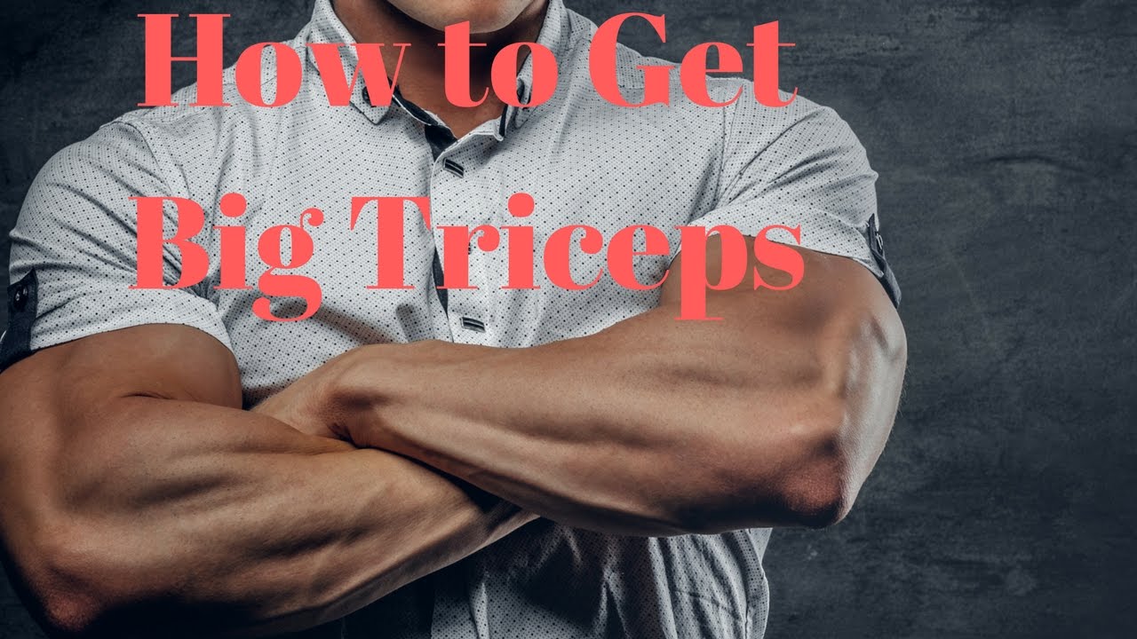 big triceps and biceps workout How to Get Big Triceps, Triceps Pushdowns, Best Exercise for Big Triceps