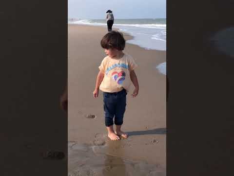 ?????????? Noordwijk ?????????