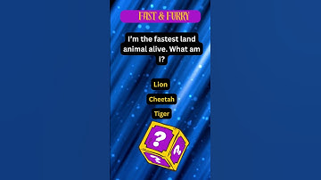 Can You Solve This Riddle in 10 Seconds? #riddles #braintest #shorts