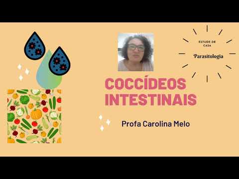 Vídeo: Parasitas Intestinais (coccídios) Em Furões