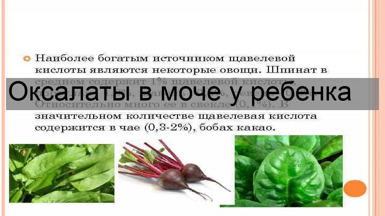 Оксалаты в моче у ребенка