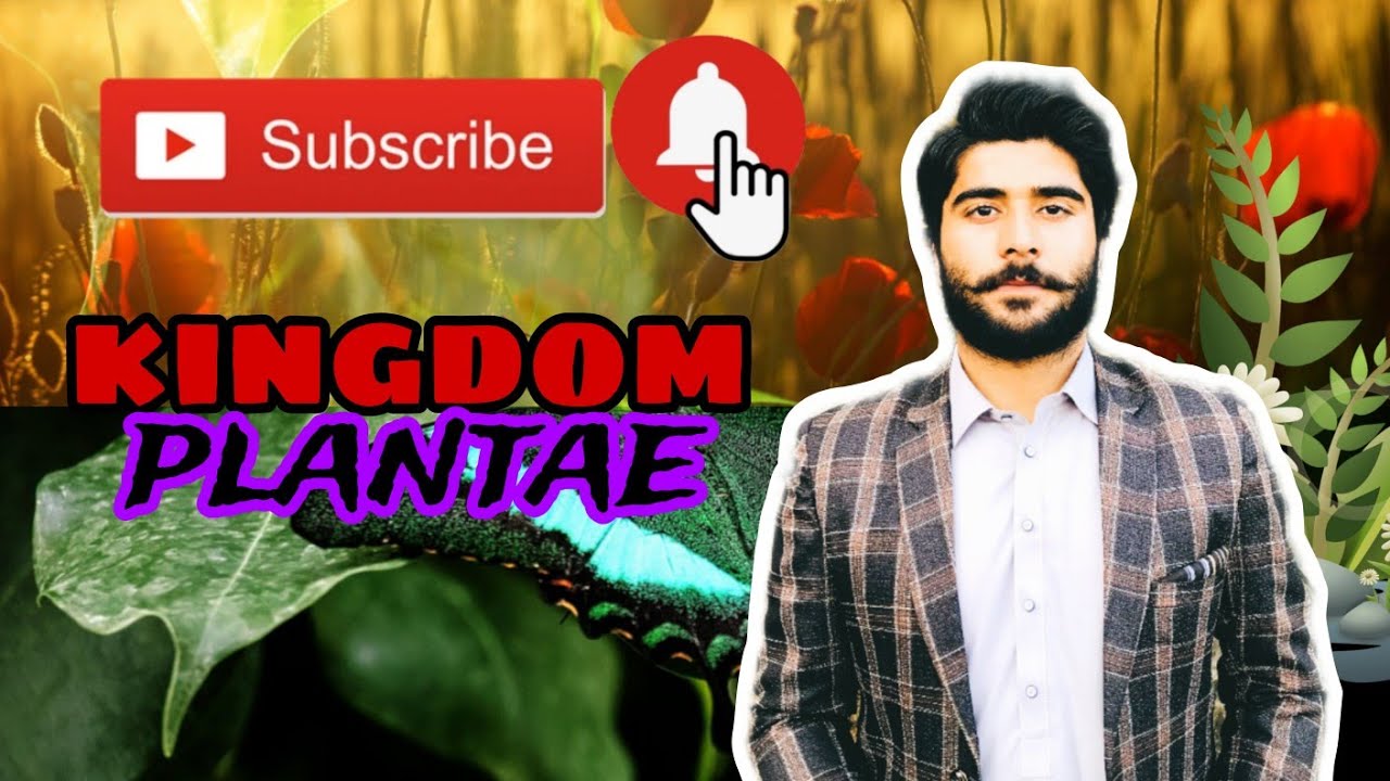 Kingdom plantae in pashto/chapter 01 biology class 9th 