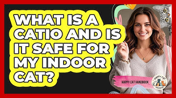 What Is A Catio And Is It Safe For My Indoor Cat? - Happy Cat Handbook