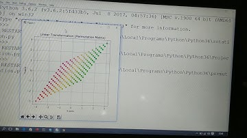 Permutation matrix visually - 2D linear transformation