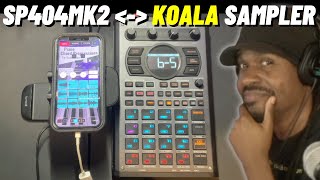 Roland Sp-404mk2 4.04 update Koala Sampler Integration | Verysickbeats