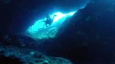 Красотка ТВ