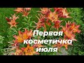 Первая косметичка июля 2023 🪻