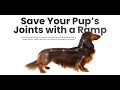 SeatMate: Pet Office Furniture with an Easy Access Ramp