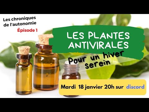 Les Chroniques de l&rsquo;Autonomie : Episode N°1 (Les plantes Antivirales)