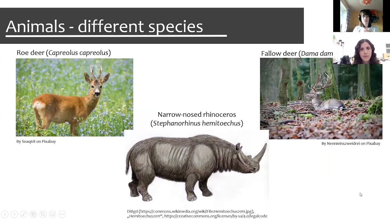 Ice Age Sites of Britain and Spain / Yacimientos de la edad de hielo de Gran Bretaña y España