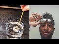 Incroyable dipping dandelion in water  wooglobe