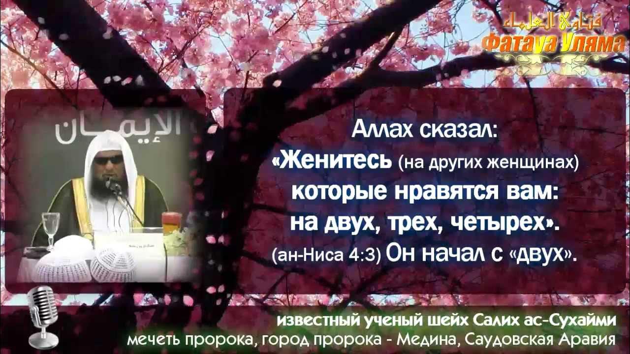 Кто из пророков женился на блуднице Оживляйте Сунну многоженства! (шейх ас-Сухайми) - YouTube