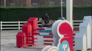 Clever vd Withoeve Z