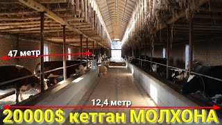 МАНА  20000$ КЕТГАН МОЛХОНА 👍