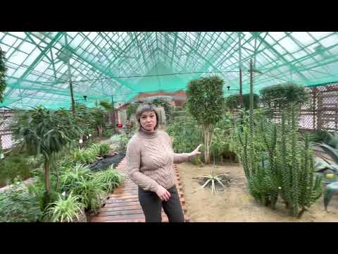 Экскурсия 'Сибирские тропики'