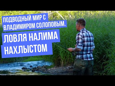 Ловля налима нахлыстом \ Подводный мир с Владимиром Солоповым.