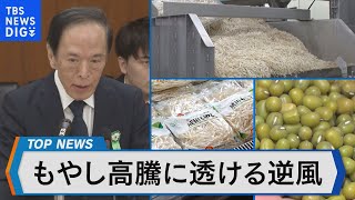 歴史的な円安が事業を圧迫その現場は…円安の影響を最新の経済指標をもとに検証する【Bizスクエア】| TBS NEWS DIG