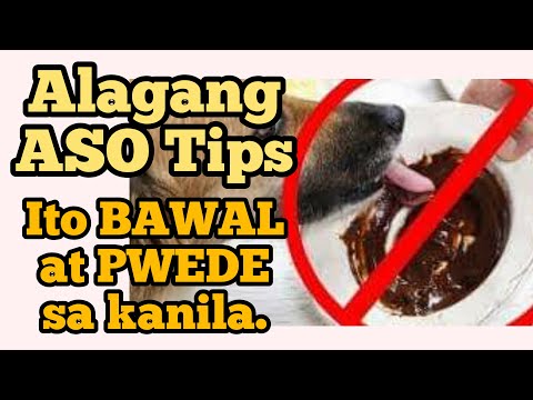 Video: Maaari Bang Masyadong Matanda Ang Isang Aso Para Sa Paggamot Sa Kanser