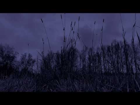 Звук Дождя и Раскаты Грома 6 Часов Для Глубокого Сна и Релаксации