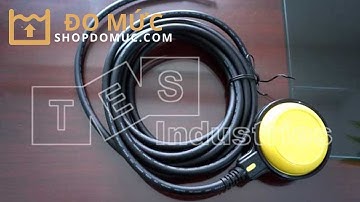 Cảm biến báo mức kiểu phao dây đơn điểm Finetek FACC05-X