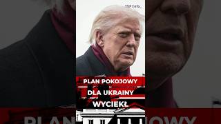 Wyciekł Plan Pokojowy Dla Ukrainy. W Co Gra Trump?