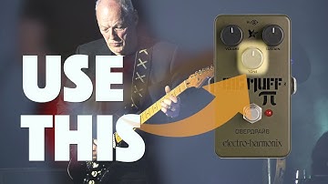 How I Use A Fuzz That DON