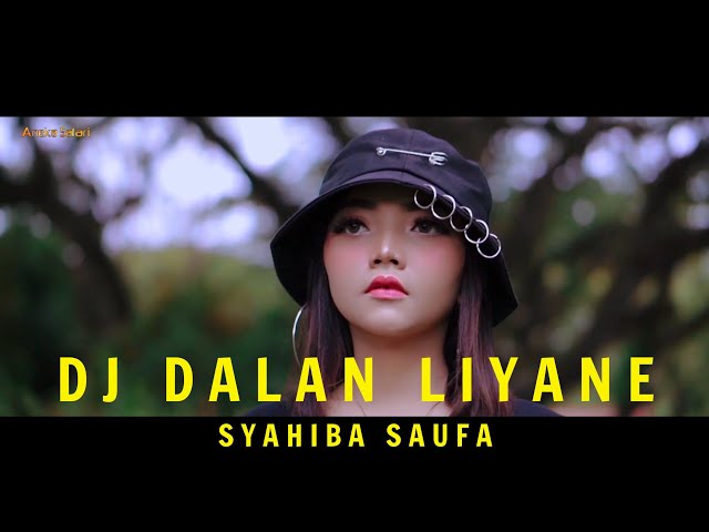 Dj Dalan Liyane - Syahiba Saufa ( Official Music Video ANEKA SAFARI ) class=