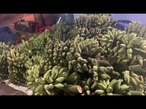 Video 245#CHUỐI XIÊM,CHUỐI SÁP,CHUỐI GIÀ CUI,CHỢ ĐẦU MỐI HÓC... - youtube