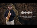 Andrei David - Străbătând în lung și-n lat | Official Audio 2026
