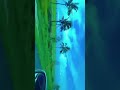 Https Vt Tiktok Com ZSBwTwk2c Youtubeshorts Fy Fypyoutube Fypシ Viral Fyp Https Vt Tiktok Com ZSBwTwk2c Youtubeshorts Fy Fypyoutube Fypシ Viral Fyp
