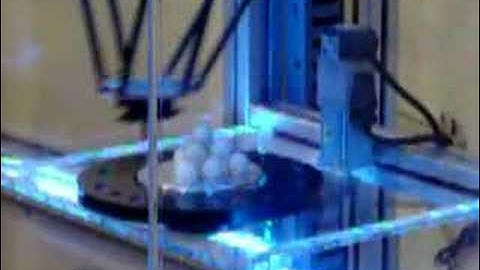 Delta Robot Demonstration