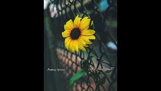 AT x anjella - si saizi yako ( official lyrics)